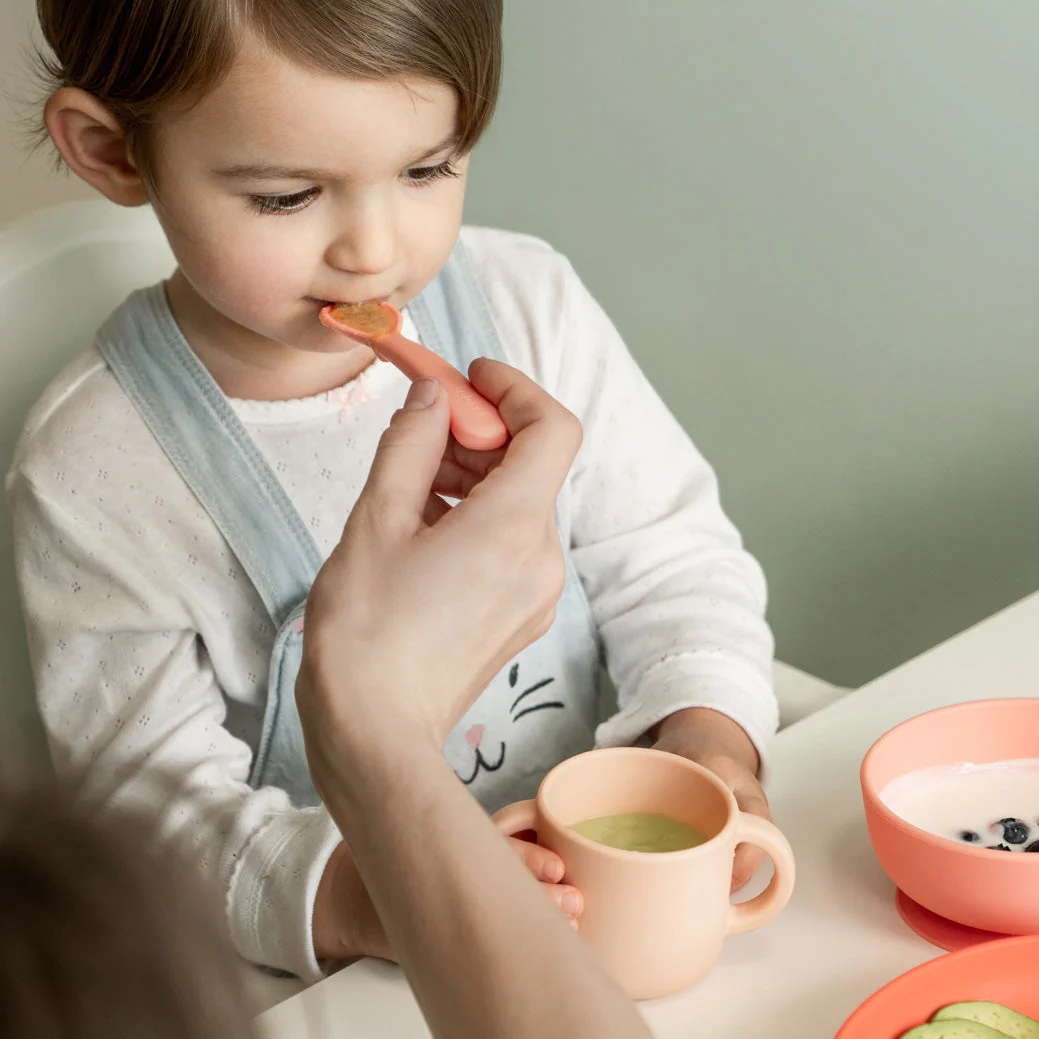 Vogeelle Silicone Baby Meal Set - Coral