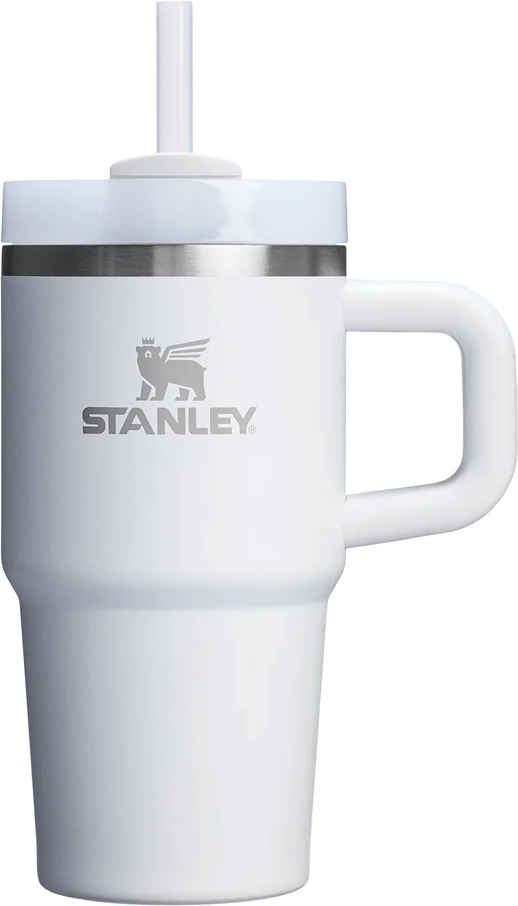 Stanley 20 oz. Quencher H2.0 FlowState Tumbler with Handle - Frost