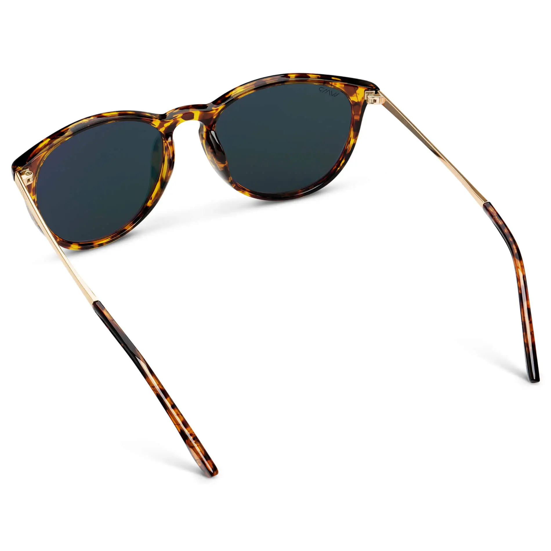 Drew | Polarized