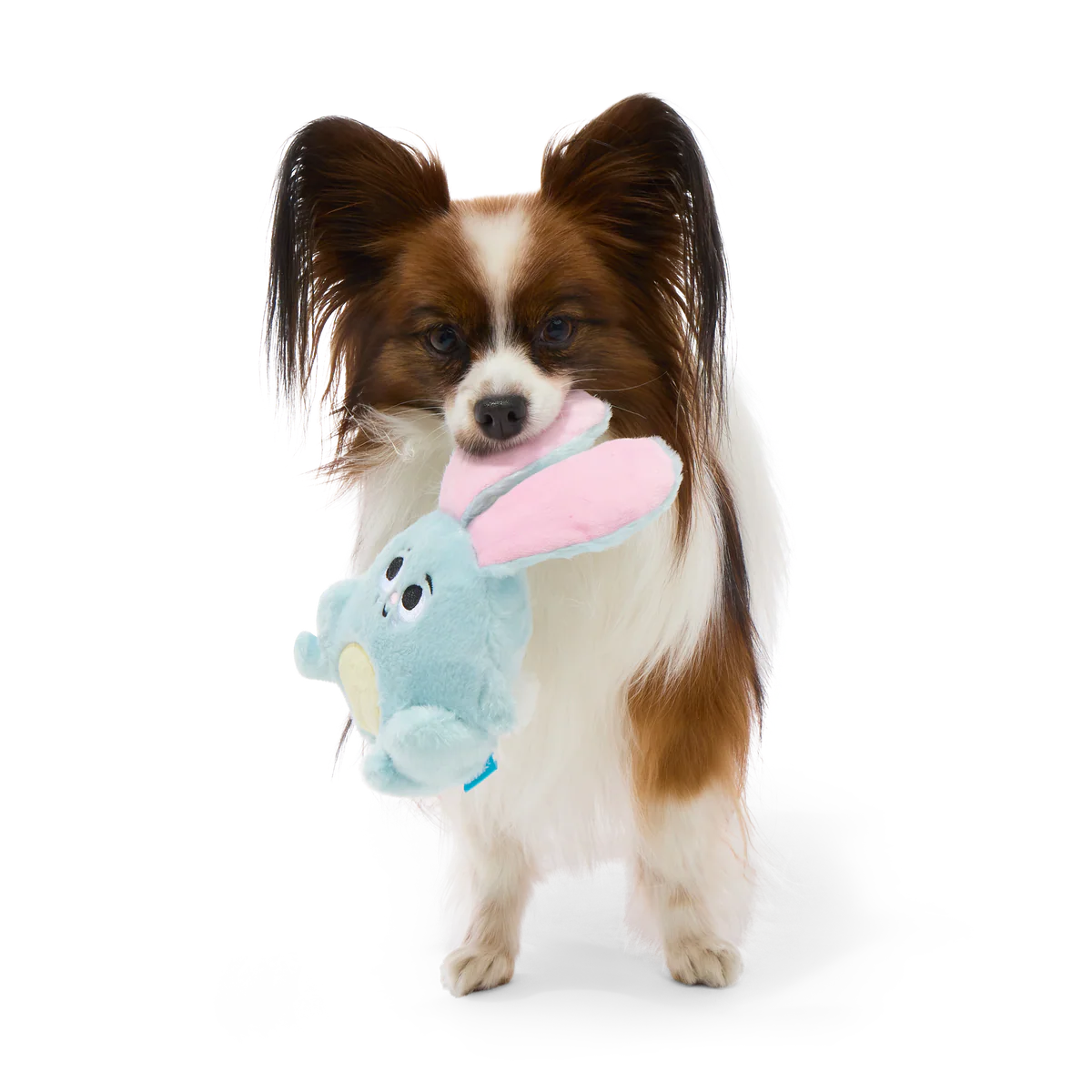 Eavesdropper Evie Plush Tug Dog Toy