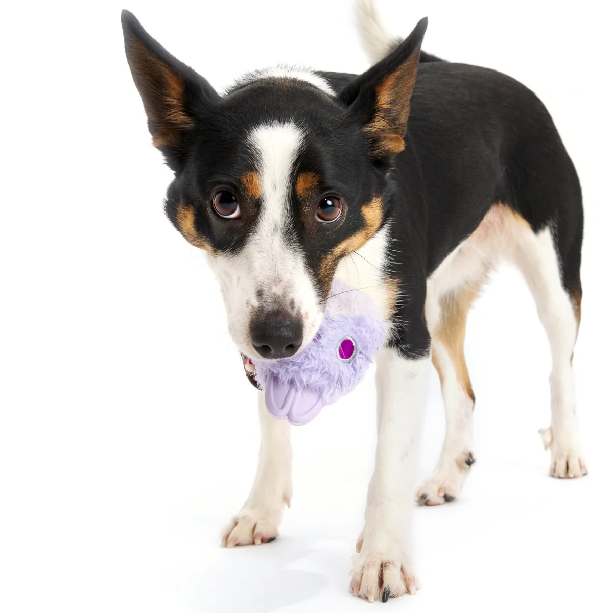 Beaster Bunny Super Chewer Durable 2-In-1 + Enrichment Dog Toy