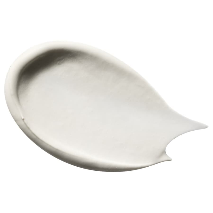 Payot Pâte Grise Masque Purifiant Rééquilibrant