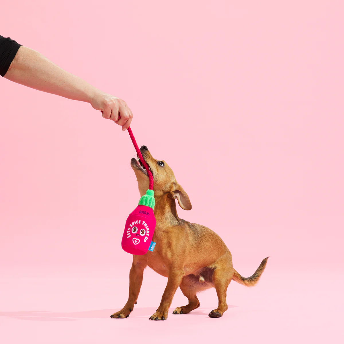 Hot Stuff Plush Tug Dog Toy