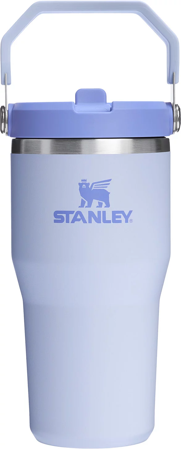 Stanley 20 oz. IceFlow 2.0 Flip Straw Tumbler - Dew Drop