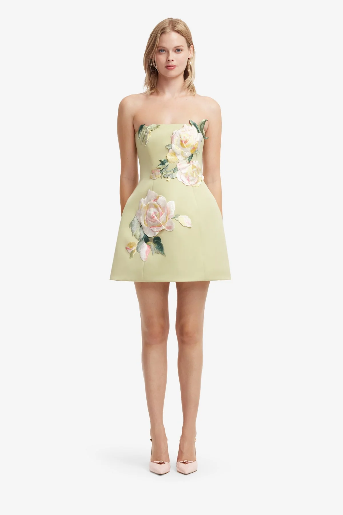 Roselle Embroidered Bustier Mini Dress - Pistachio Rose Print - luluinthesky