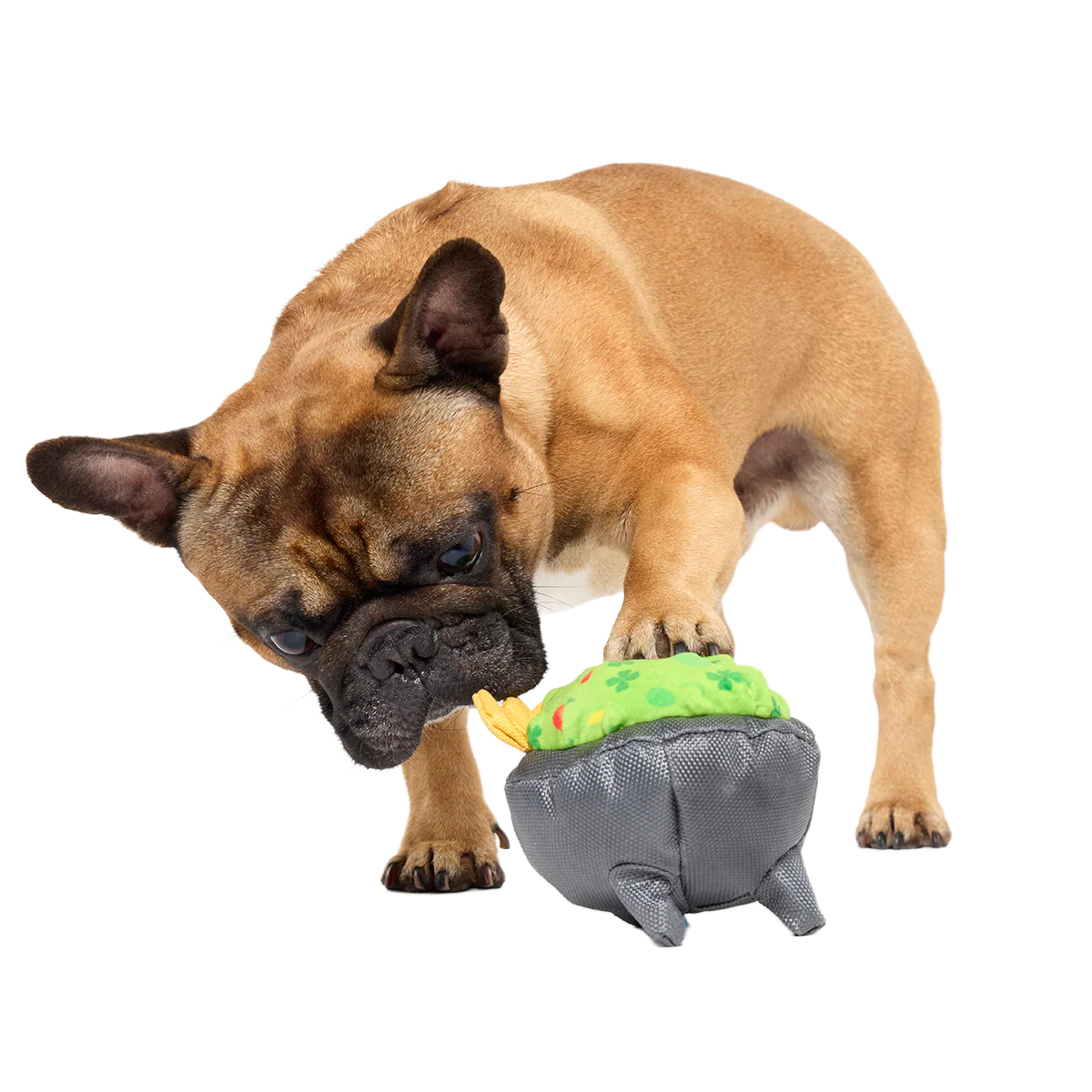 Stop, Guac, & Mole Plush Tug Dog Toy