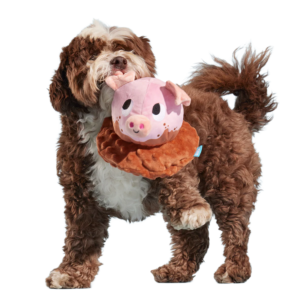 Muddy Maude Plush Fetch Dog Toy