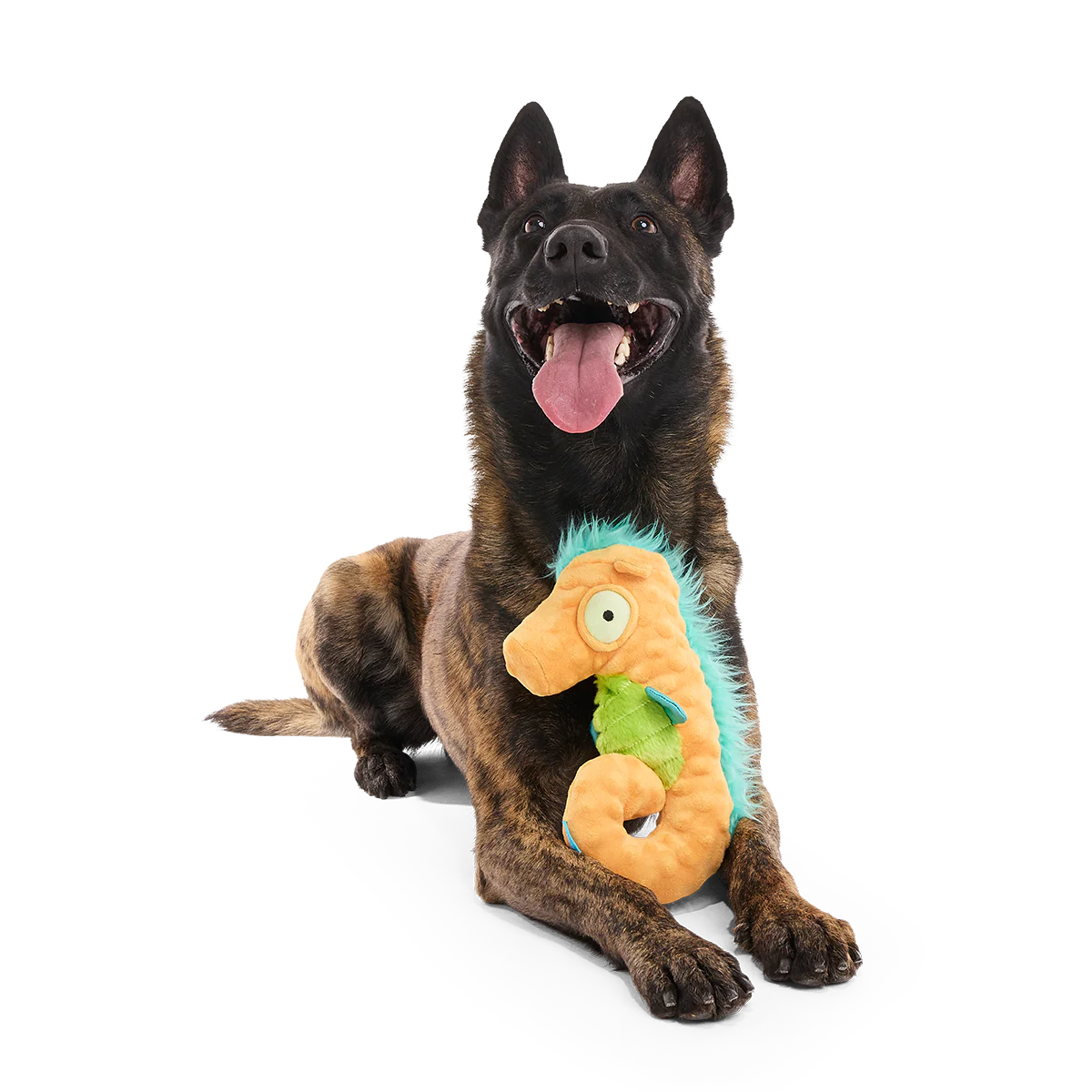 Swirlin Shirley the Seahorse Plush Tug Dog Toy