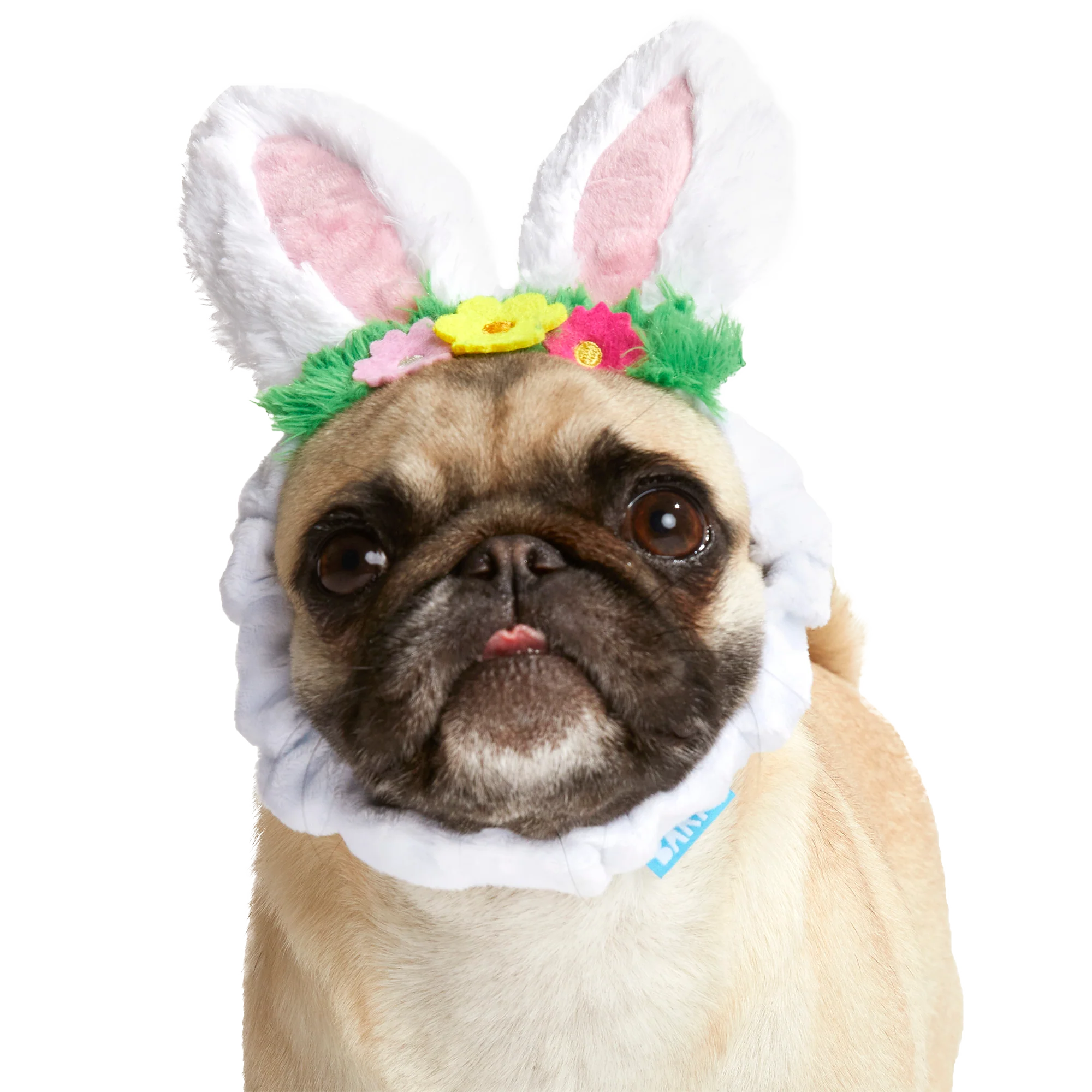 Hare Club Plush Wearable Dog Toy