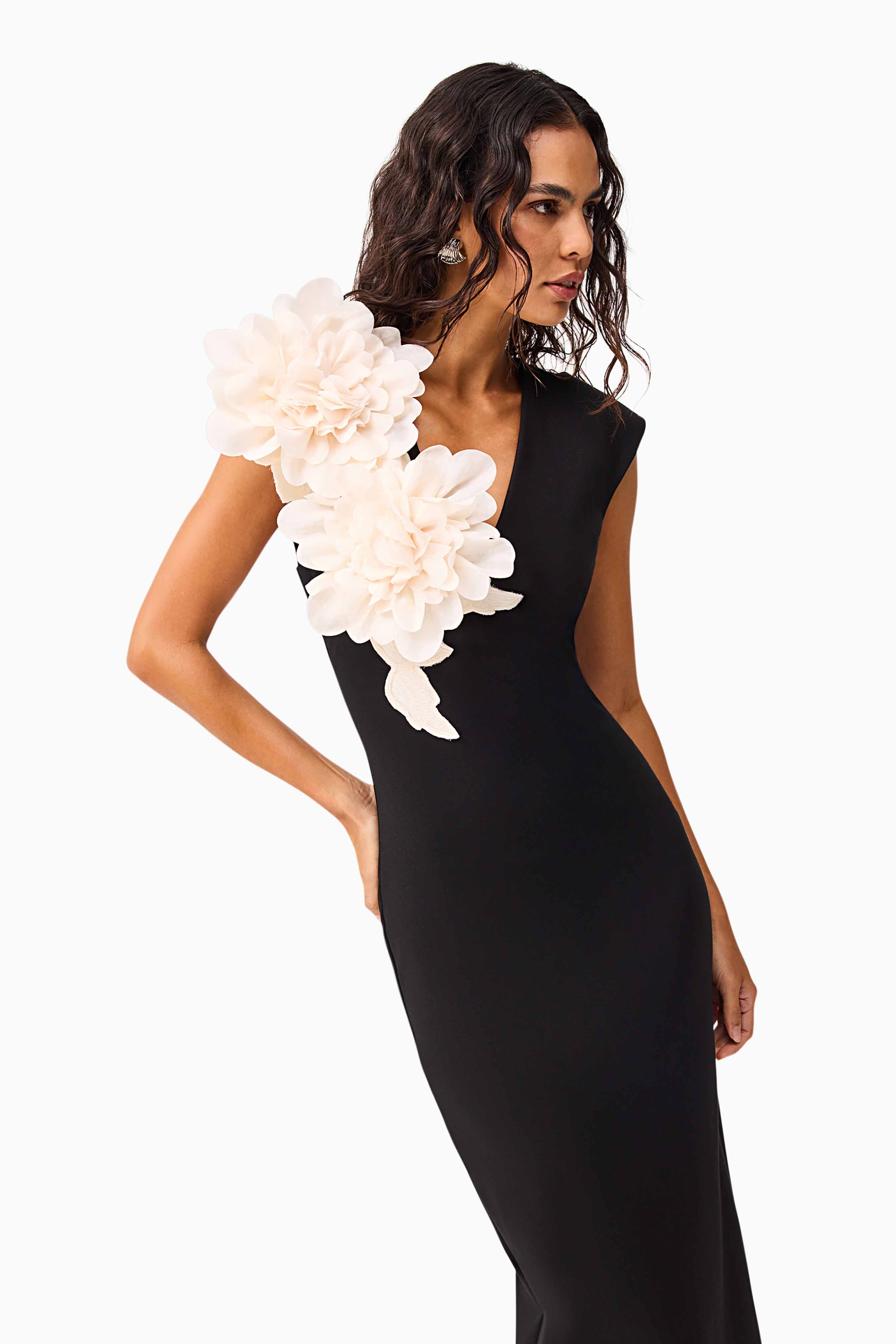 Zahara V-Neck Gown in Black