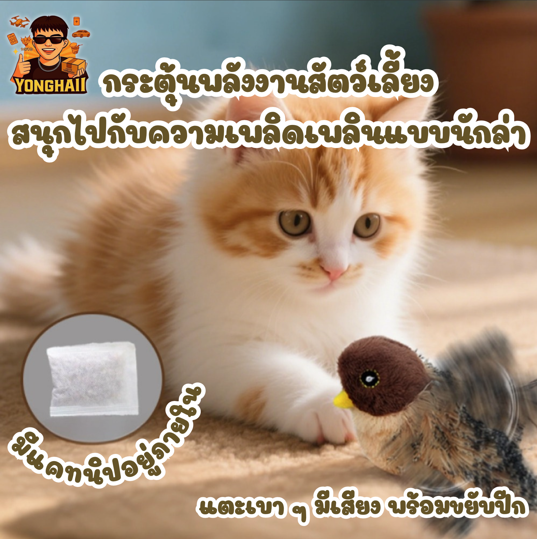 ที่วางยากันยุง โปเกม่อน เก็งก้า ตกแต่งห้อง