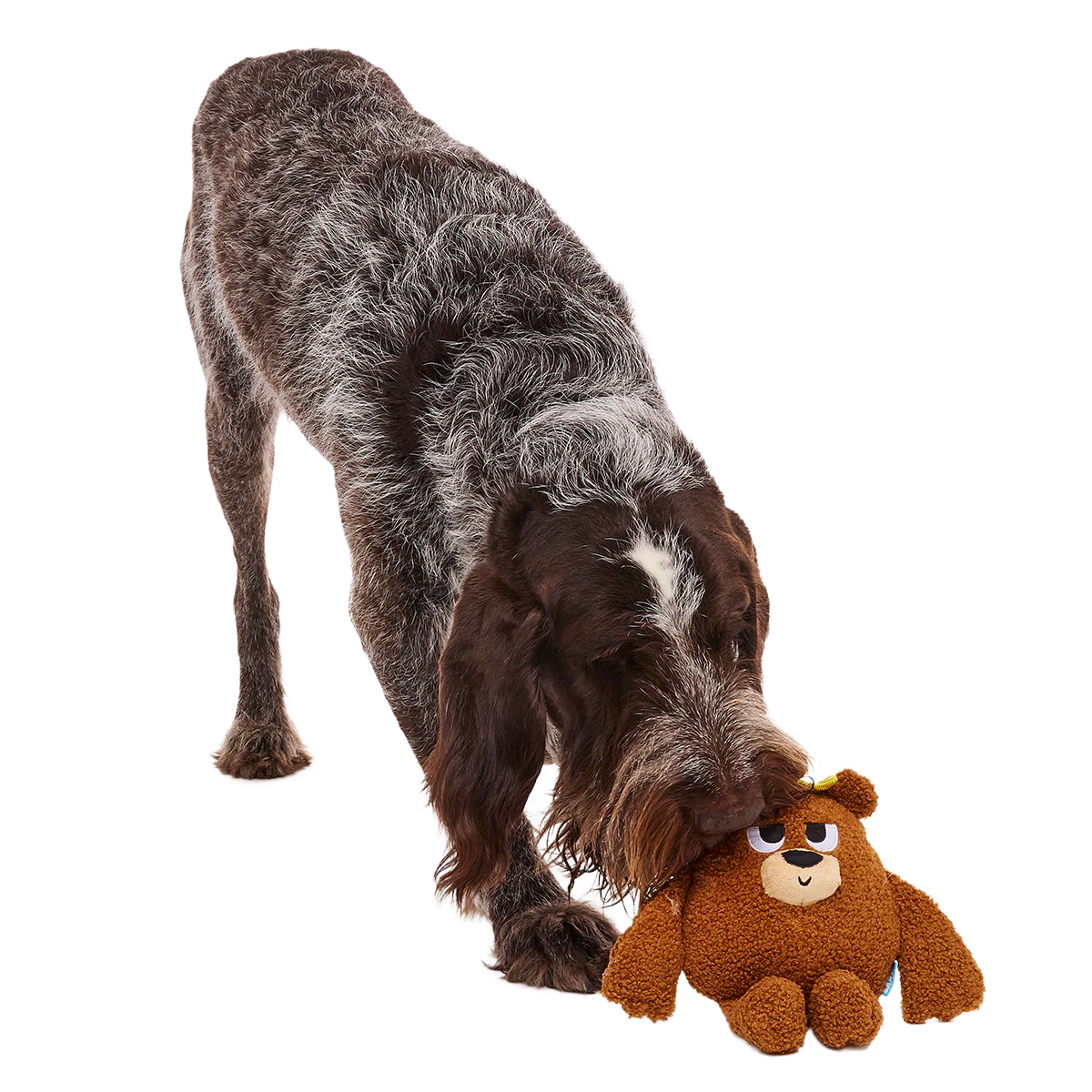 King Bearthur Plush Tug Dog Toy