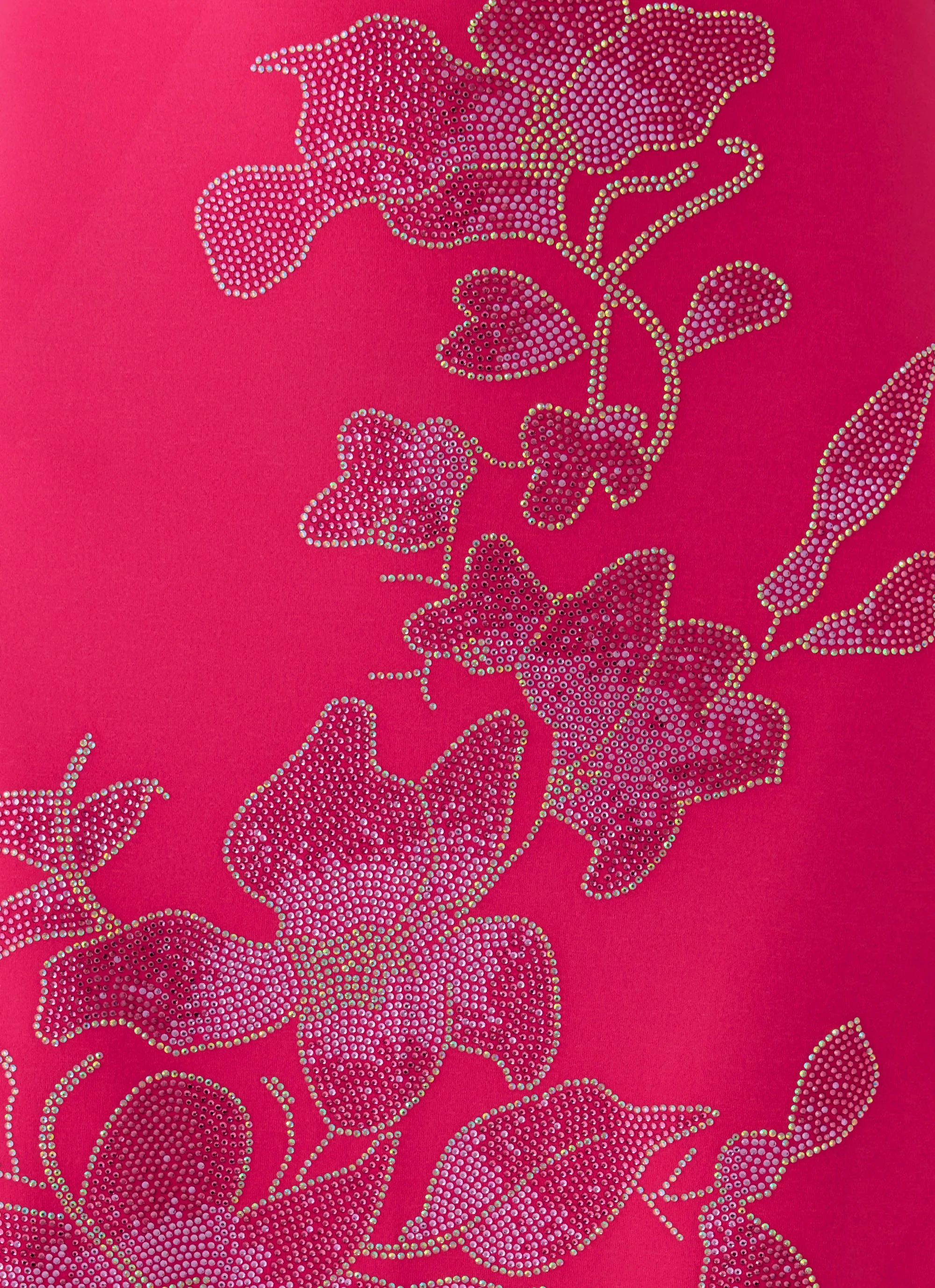 Carmine Embellished Maxi Dress - Fuchsia - luluinthesky