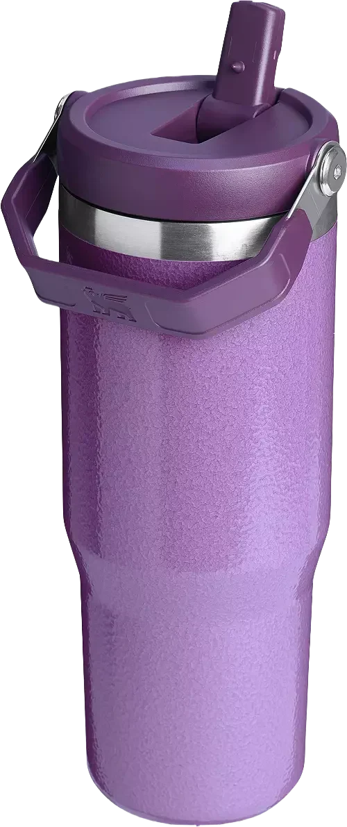 Stanley 30 oz. IceFlow Flip Straw Tumbler