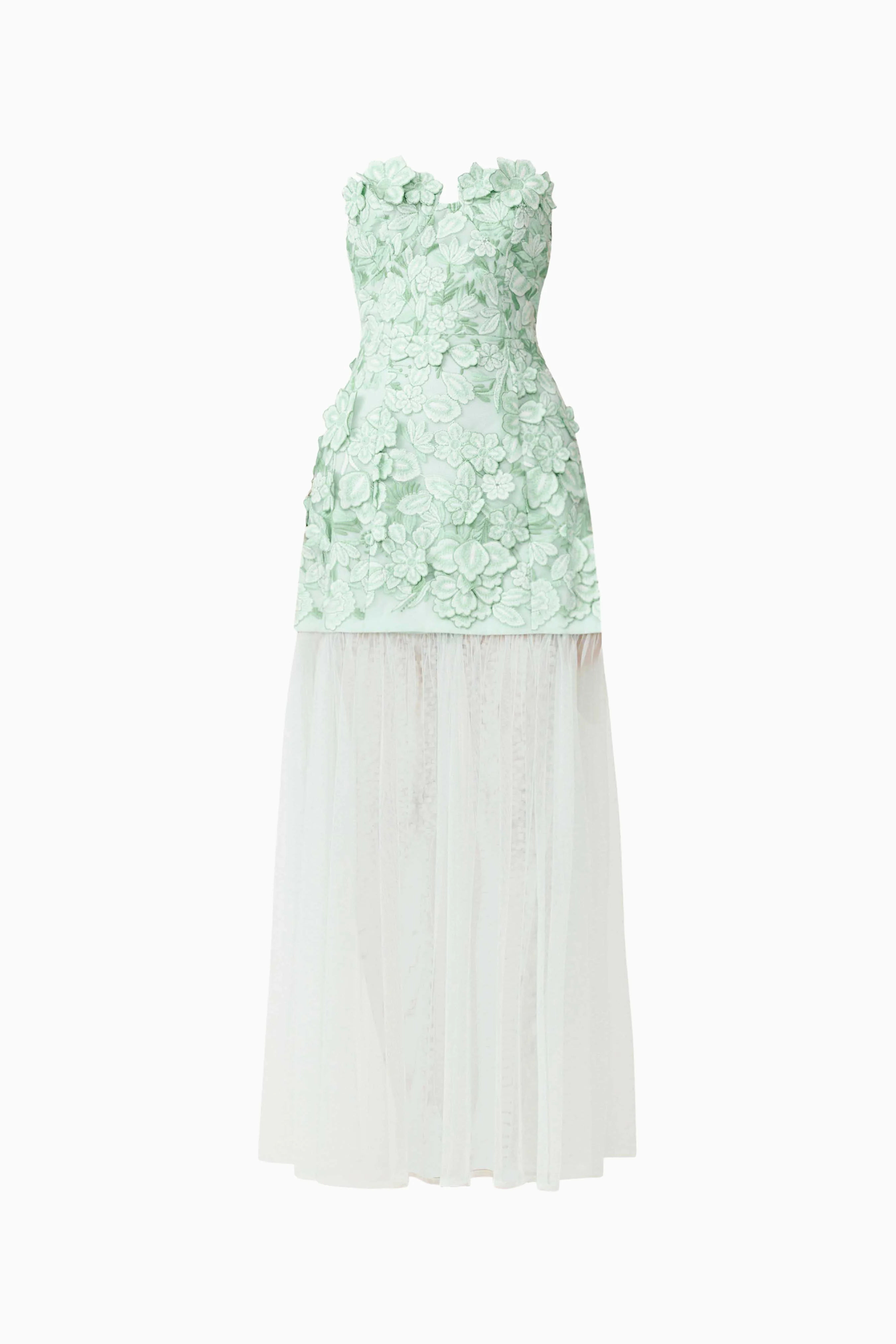 Roseate Strapless Maxi Dress in Mint Green
