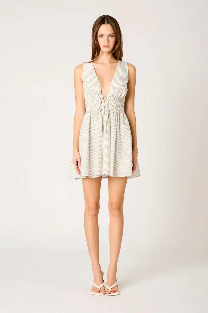 Striped Mini Dress