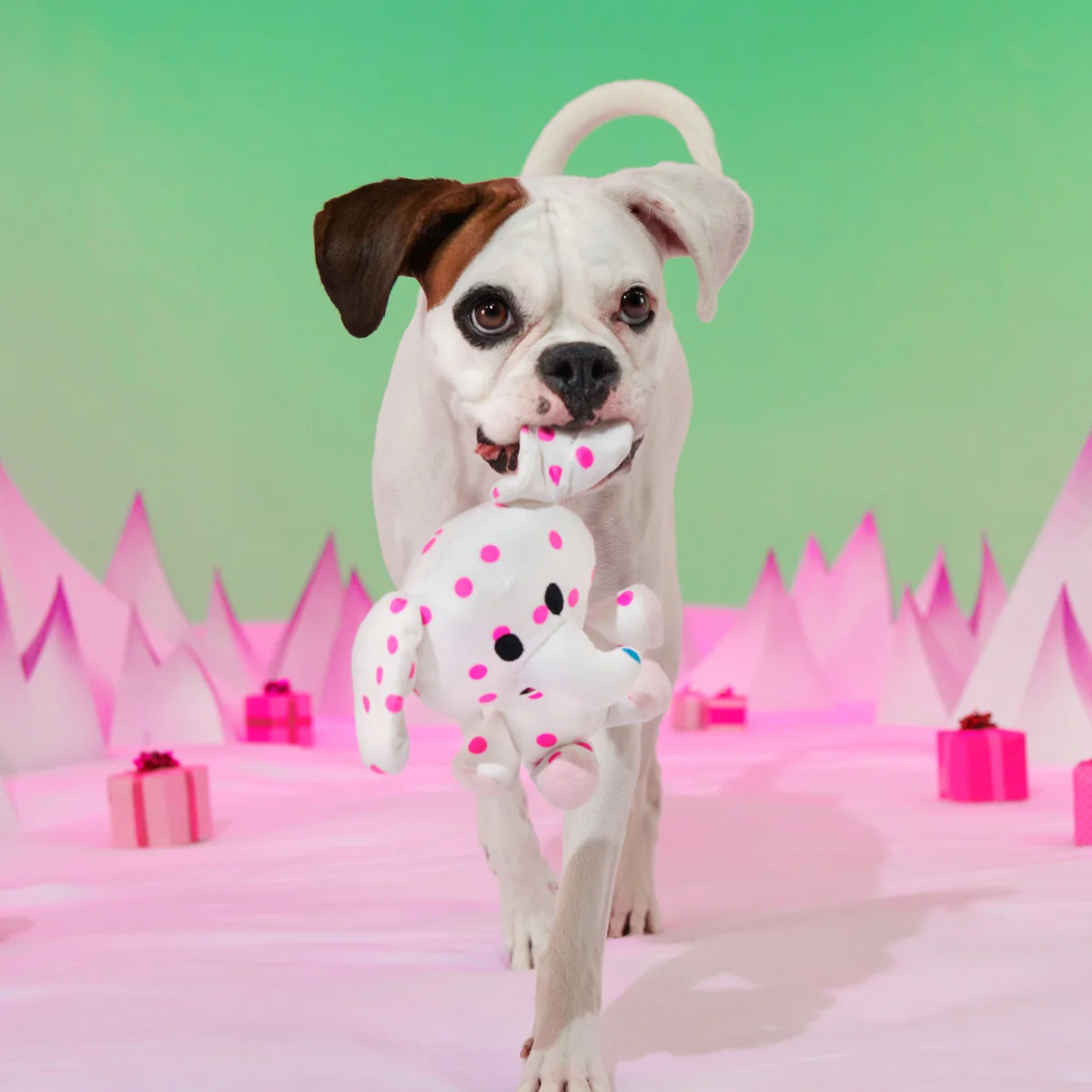 Spotted Elephant™ Plush Tug Dog Toy