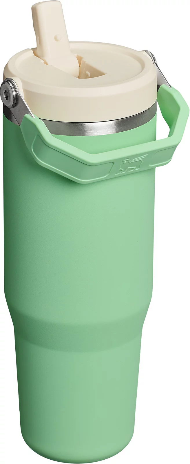 Stanley 30 oz. IceFlow 2.0 Flip Straw Tumbler - Pistachio