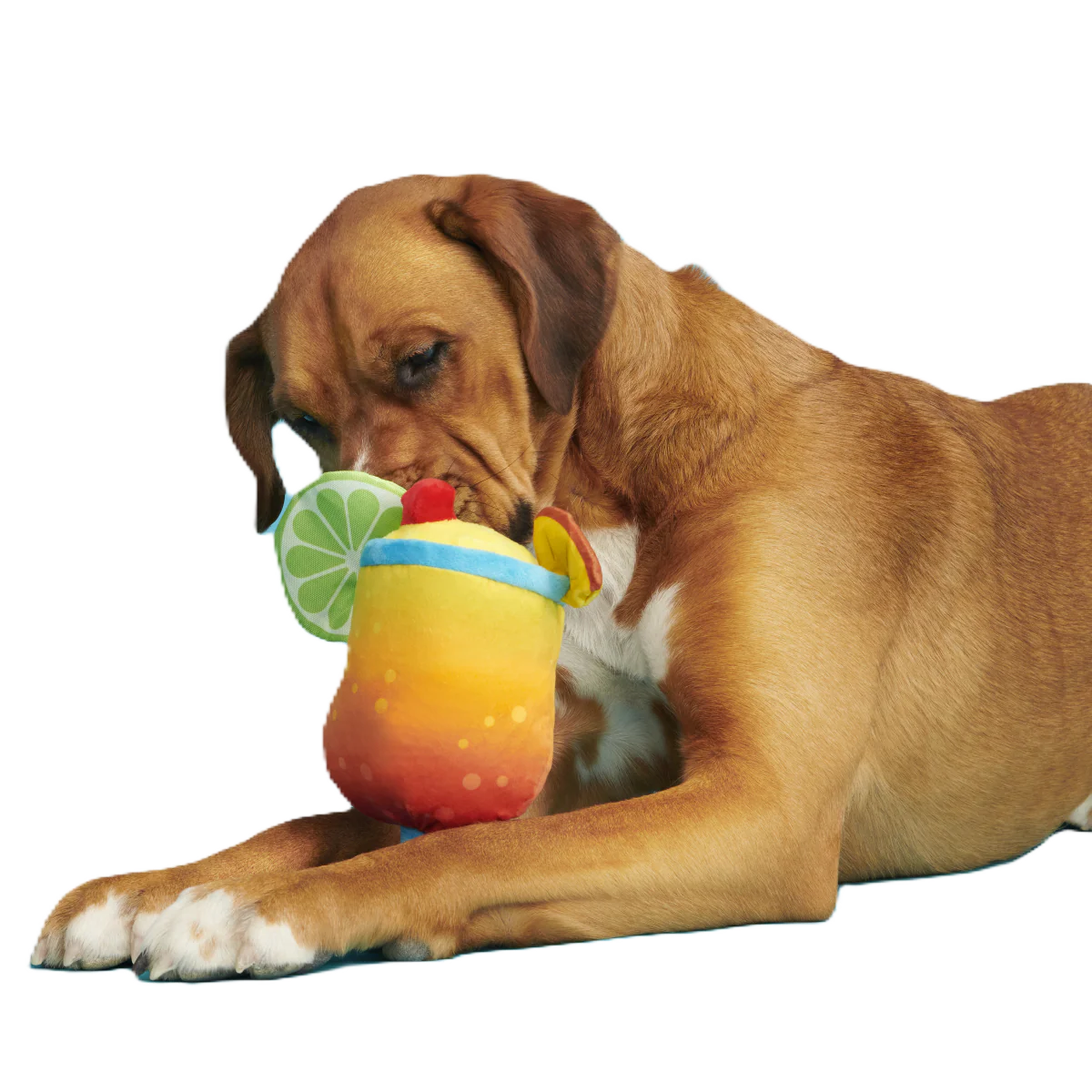 Mai Tail Plush Tug Dog Toy