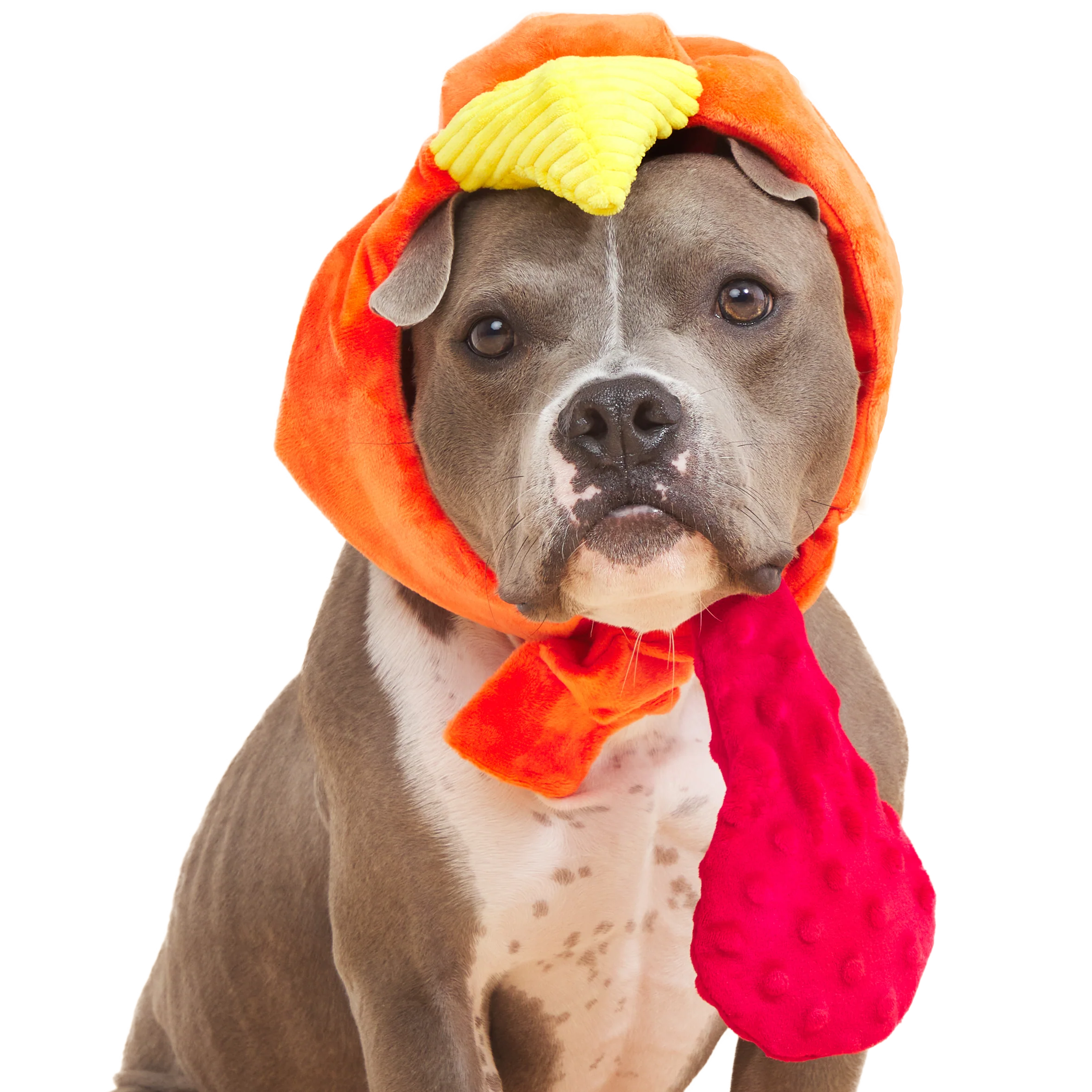 Gobble Head Plush Wearable Tug Dog Toy