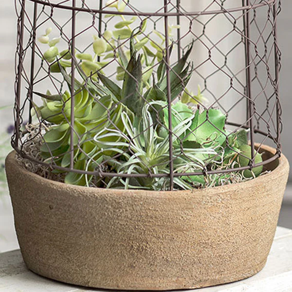 Chicken Wire Cloche with Terra Cotta Pot