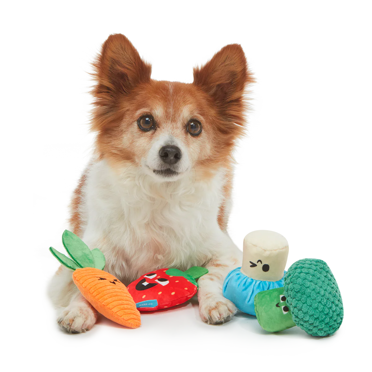 Veggie Patch Pals Plush Multi-Part Dog Toy