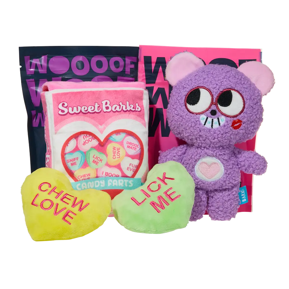 Bark 6 Month Subscription - Double Deluxe First Box