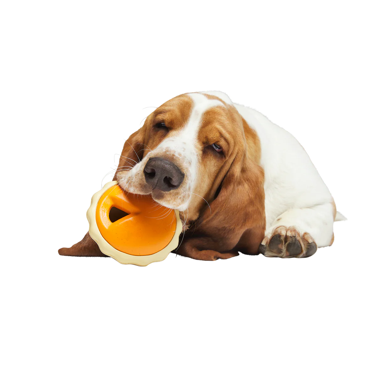 American Pumpkin Pie Super Chewer Durable Enrichment Dog Toy