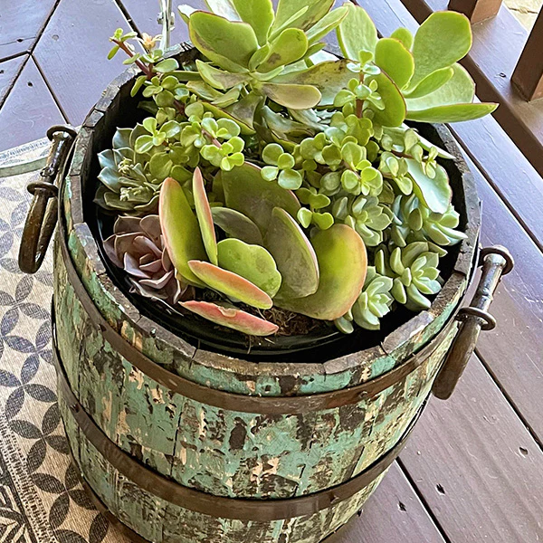 Huge Handmade Spanish Pine Wooden Bucket, Choose Your Color