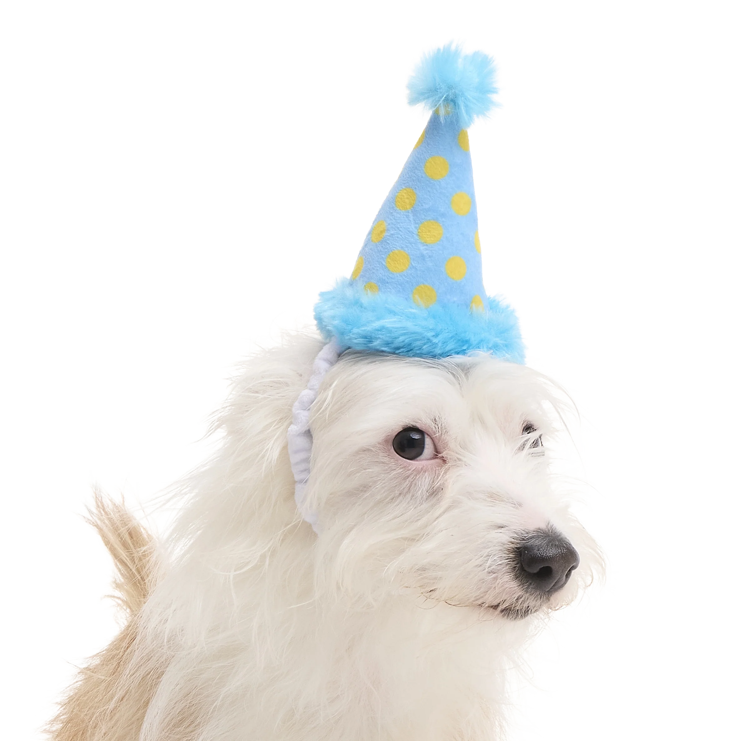 Party Hat Plush Wearable Dog Toy
