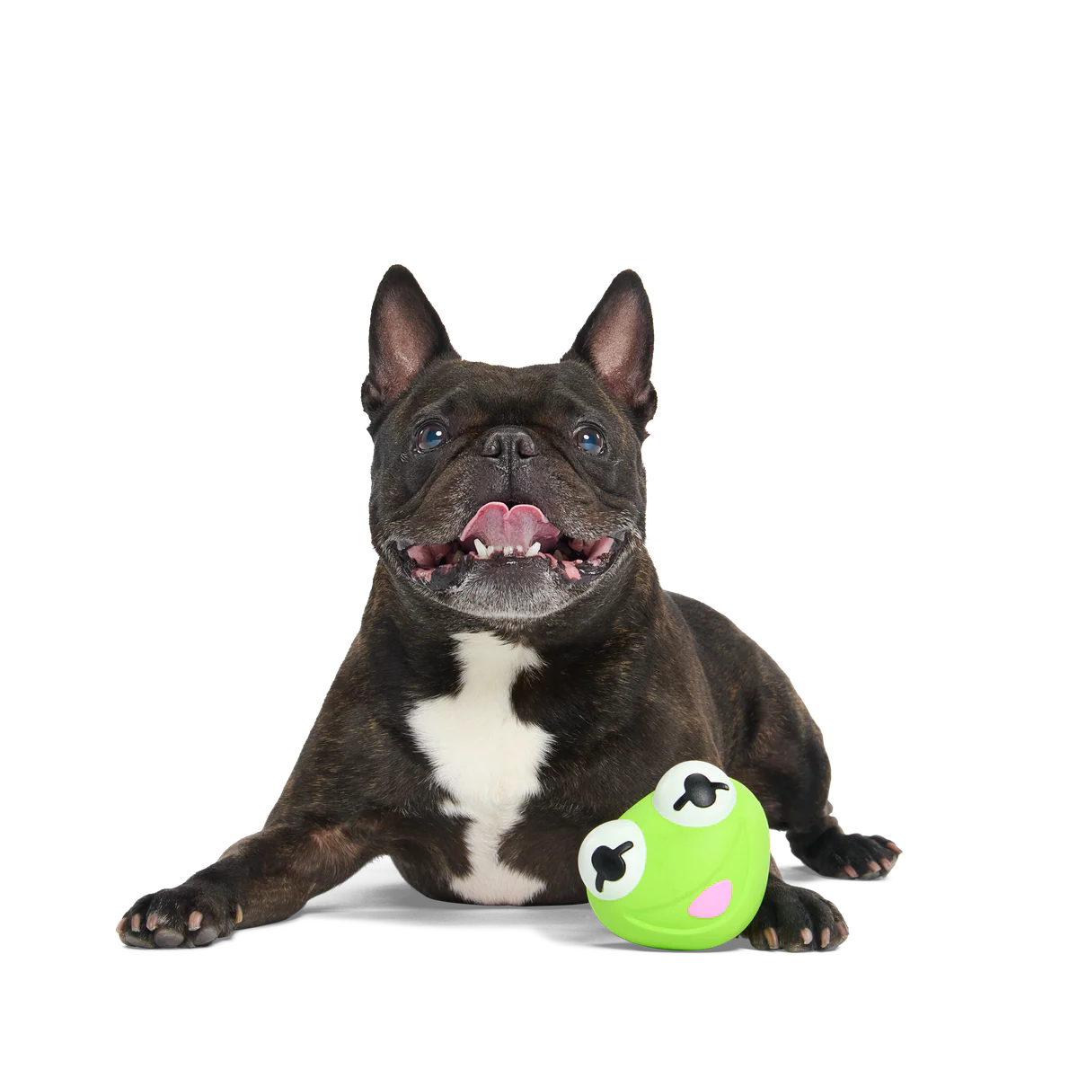 Kermit the Frog as “Bouncing Bob Catch-It