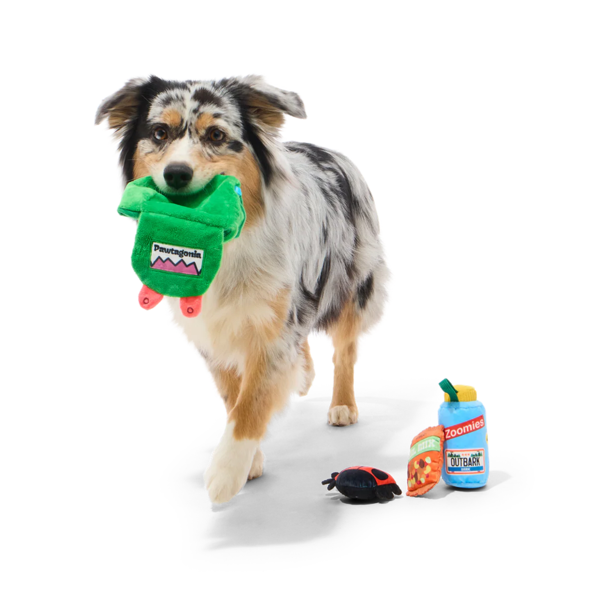 PNW Barkpack Plush Multi-Part + Enrichment Dog Toy