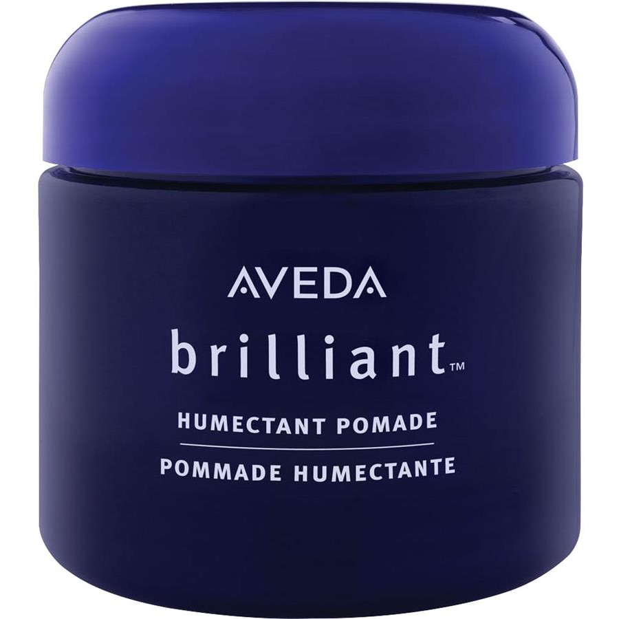 Aveda Styling Humectant Pomade Brilliant