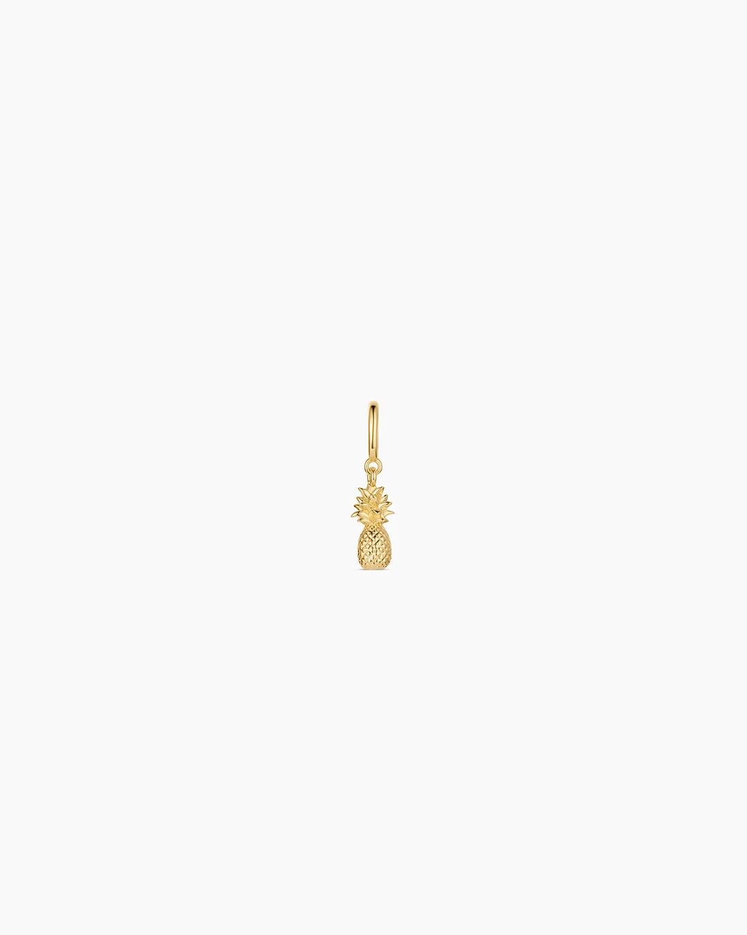 Pineapple Parker Charm