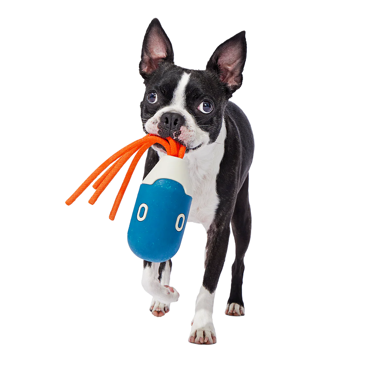 Squidwhip Super Chewer Durable Tug Dog Toy
