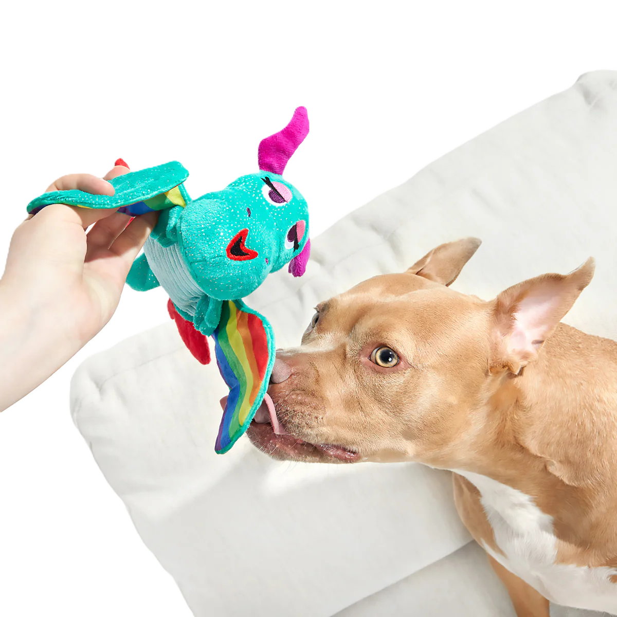 Slay The Dragon Queen Plush Tug Dog Toy