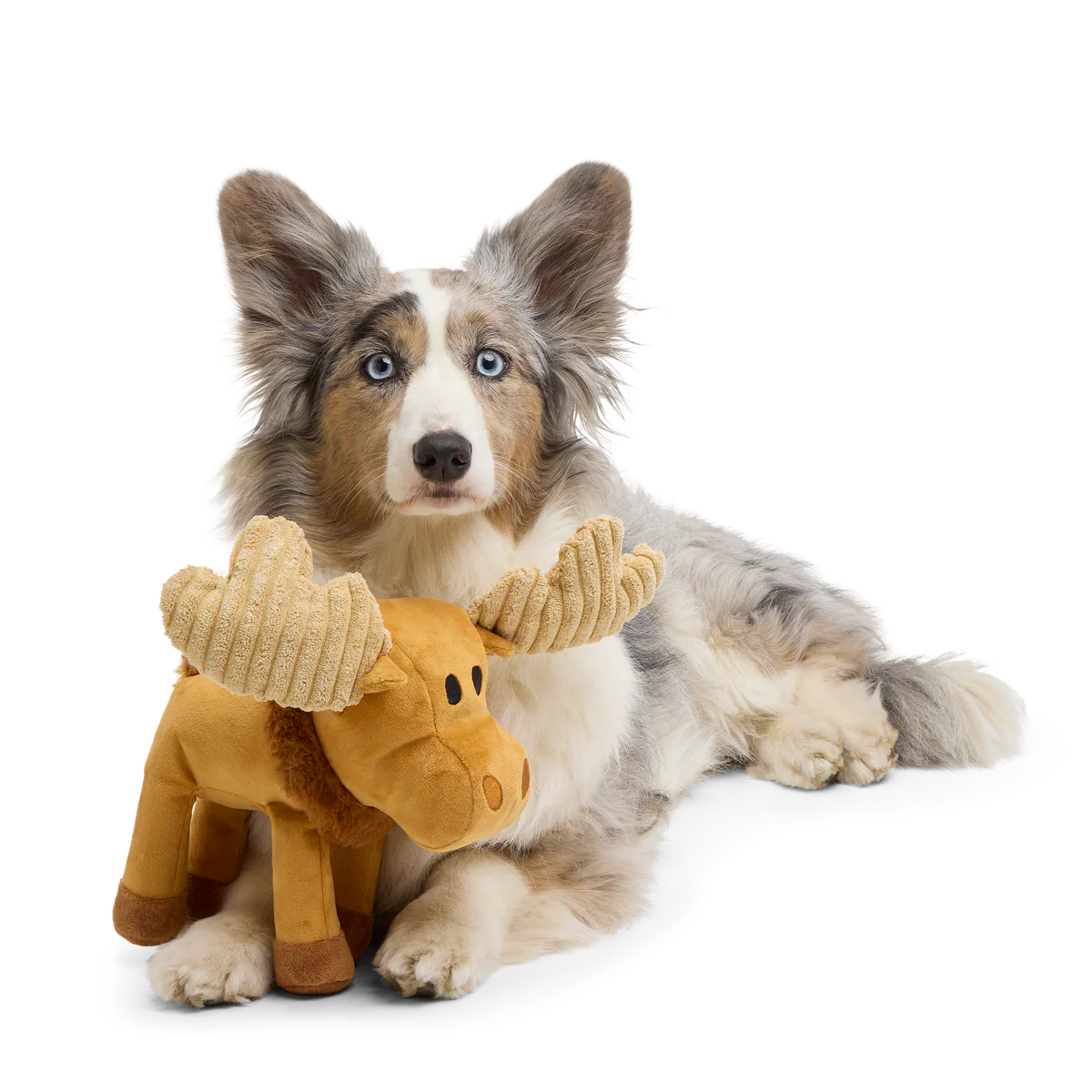 Melvin The Moose Plush Tug Dog Toy