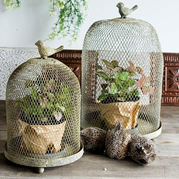 Metal Bird Cloche  Set Of 2