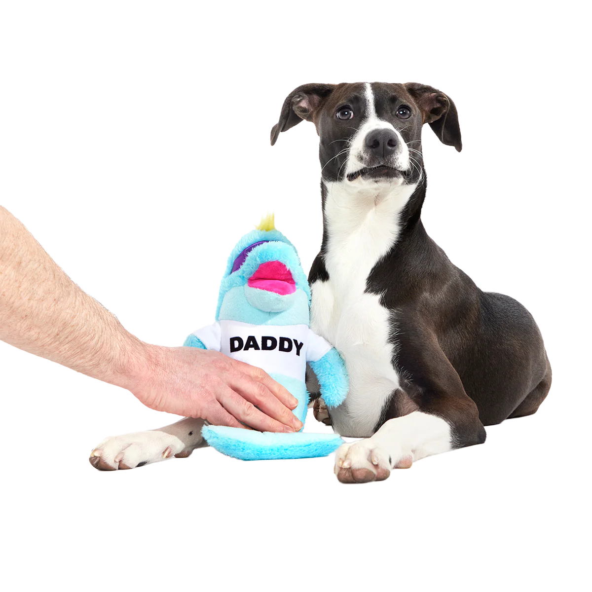 Daddy Dolphin Plush Tug Dog Toy
