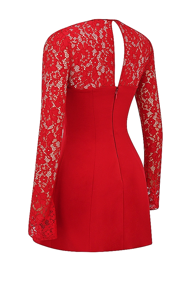 Red Rose Satin And Lace Mini Dress