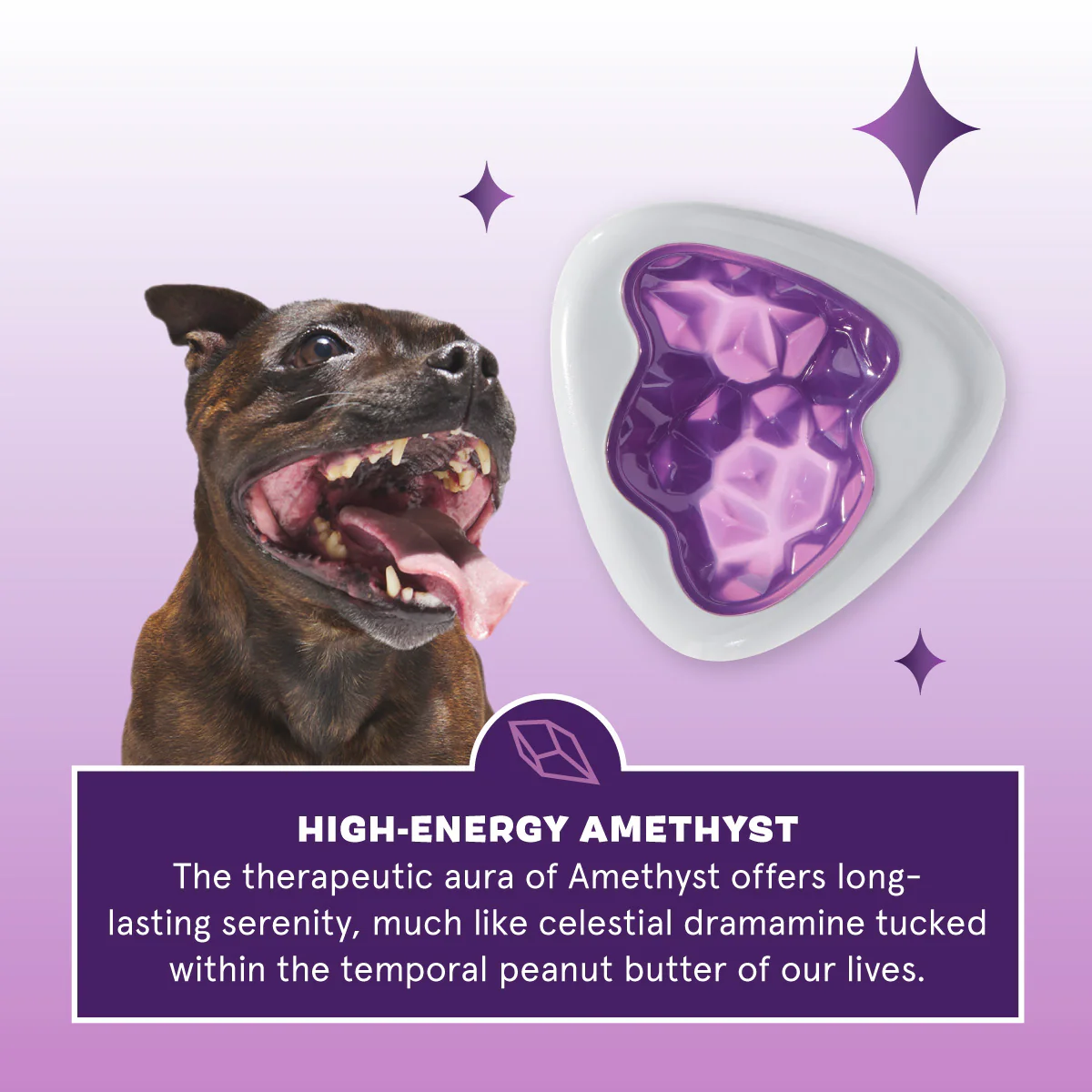 Crystal Of The Month Club, Super Chewer Durable Monthly Dog Toys