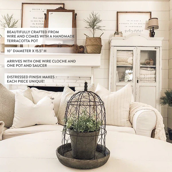 Chicken Wire Cloche with Terra Cotta Pot and Saucer