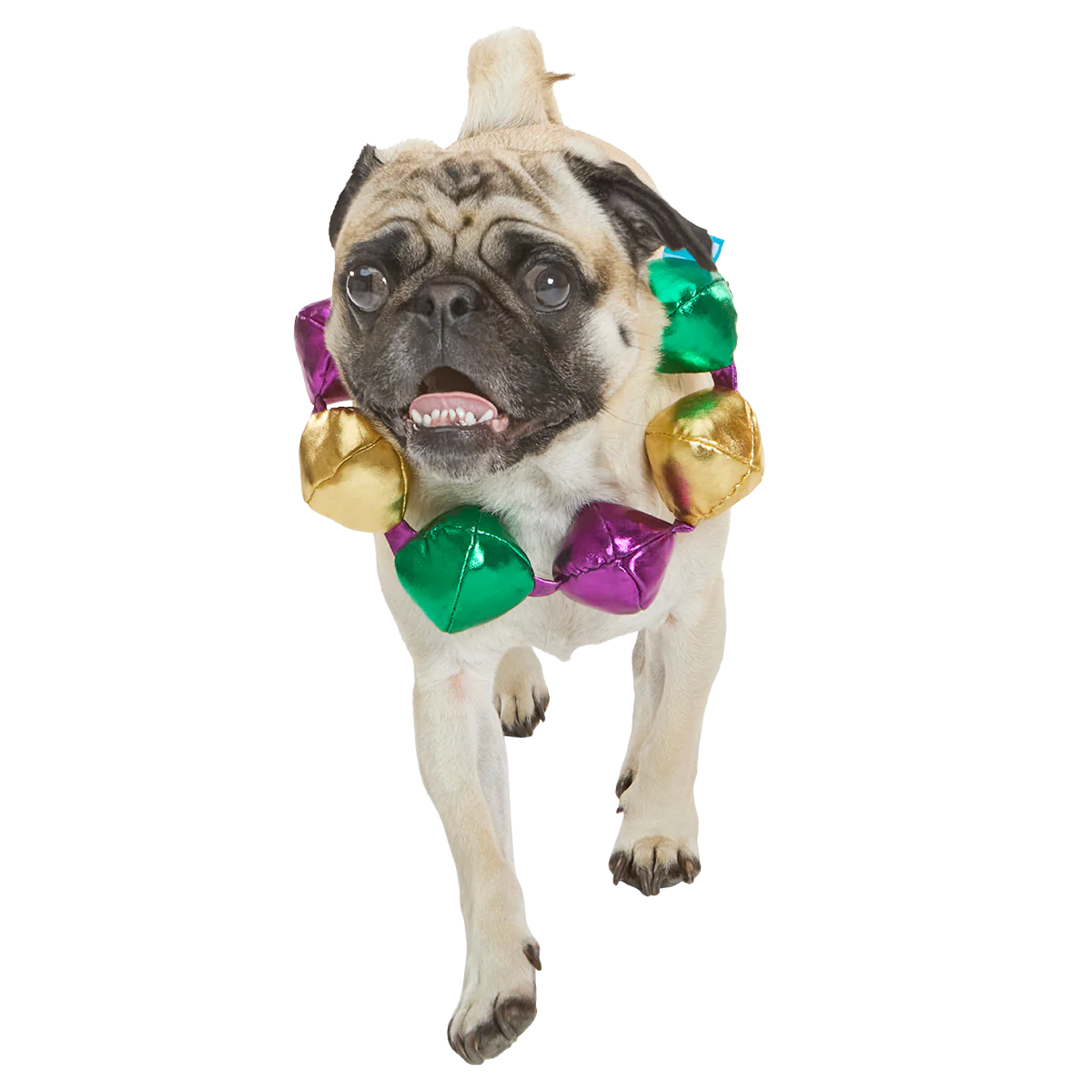 Mardi Growl Necklace Plush Wearable Tug Dog Toy