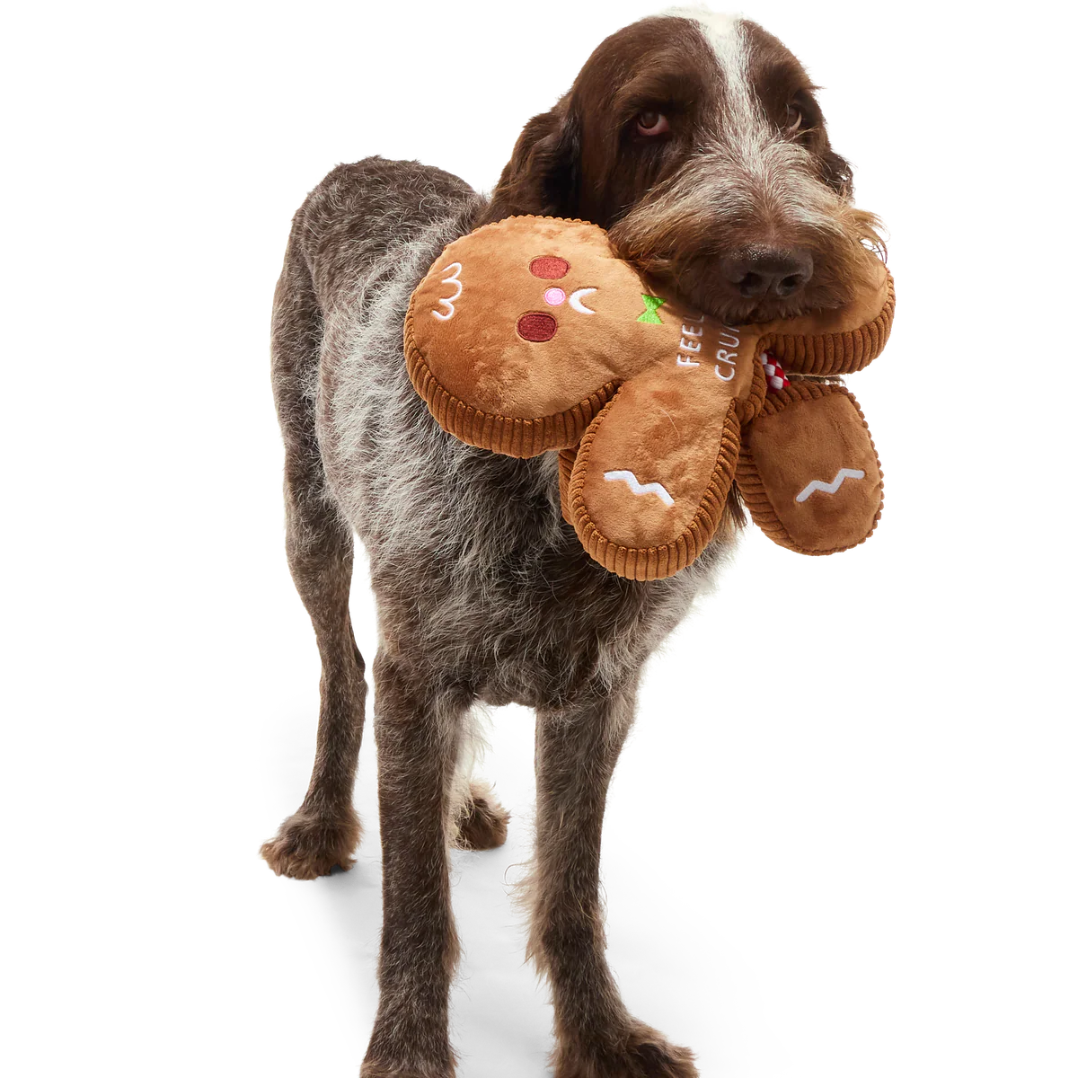 The Crumbum King Plush Tug + Extra-Large Dog Toy