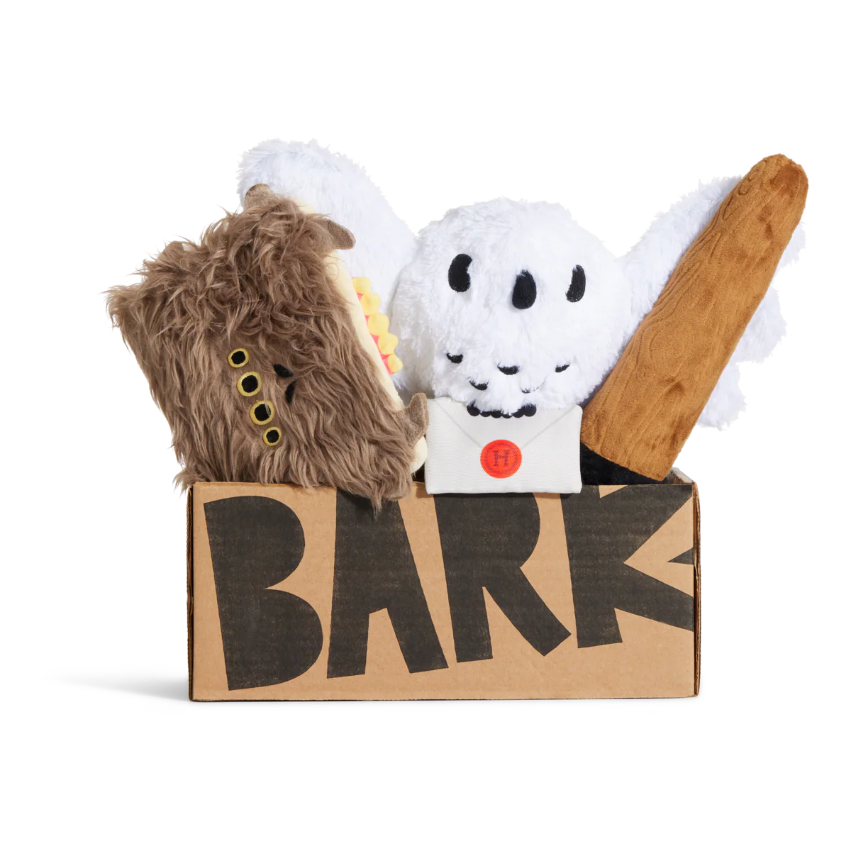 HARRY POTTER™ BarkBox - One Month Gift Box