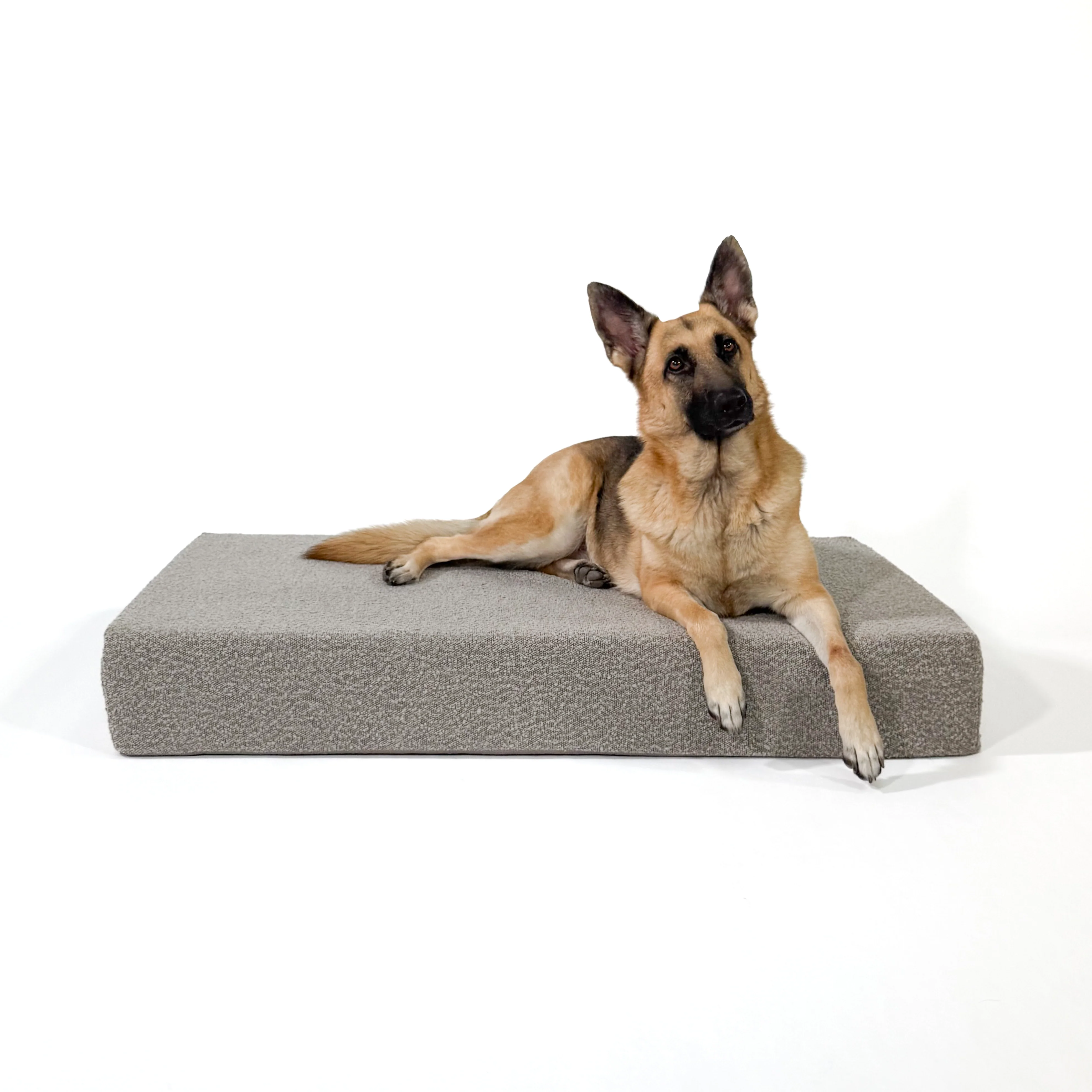 Large Bouclé Orthopedic Dog Bed (Cushion, Sand)