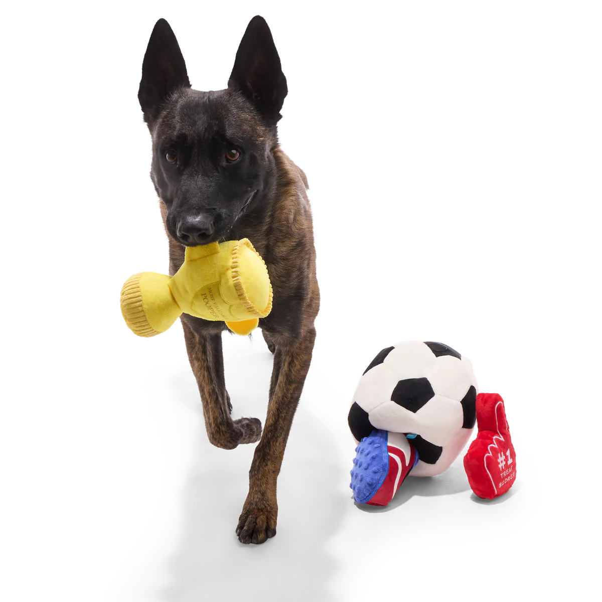Snootbol Haul Plush Multi-Part + Enrichment Dog Toy