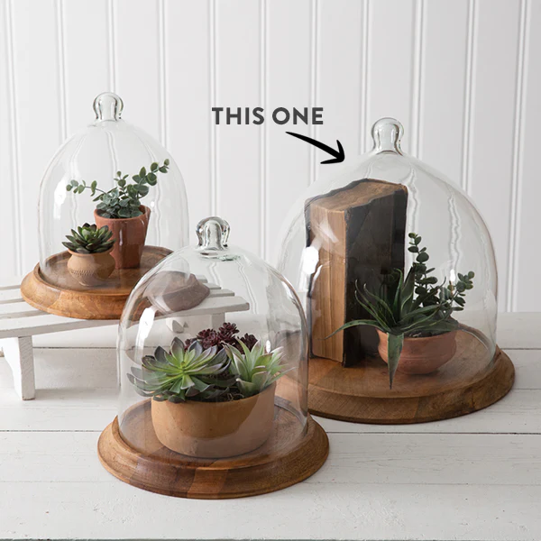 Large Glass Bell Shaped Cloche with Wood Base