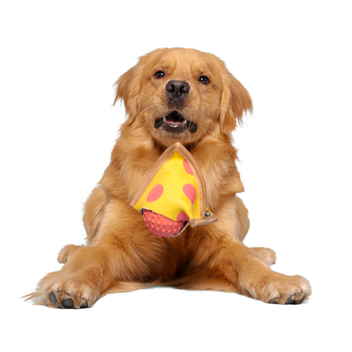 Lil Squeaker's Pizza Super Chewer Durable 2-in-1 Fetch Dog Toy