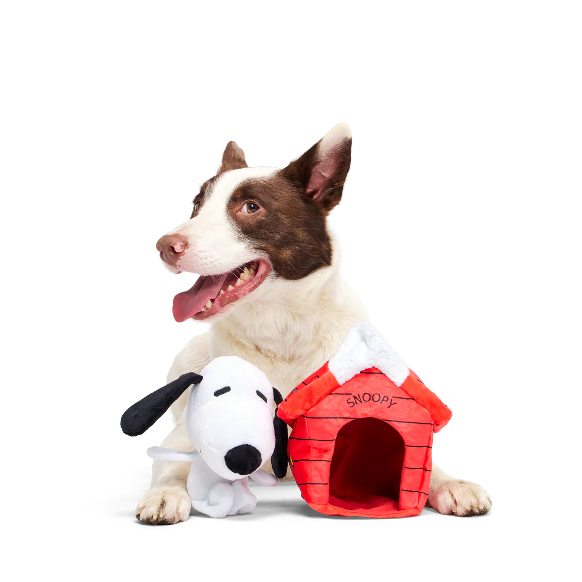 Doghouse Snoopy Plush Multi-Part Dog Toy